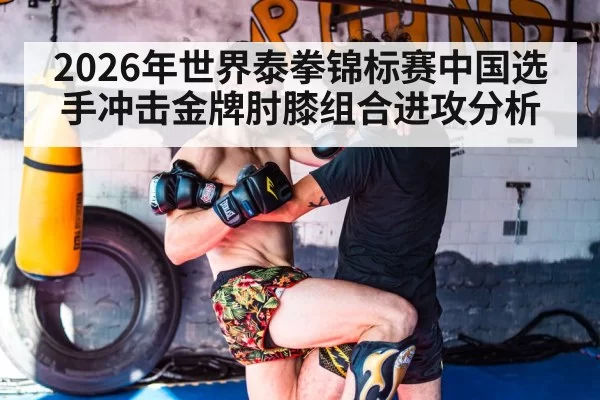 2026年世界泰拳锦标赛中国选手冲击金牌肘膝组合进攻分析